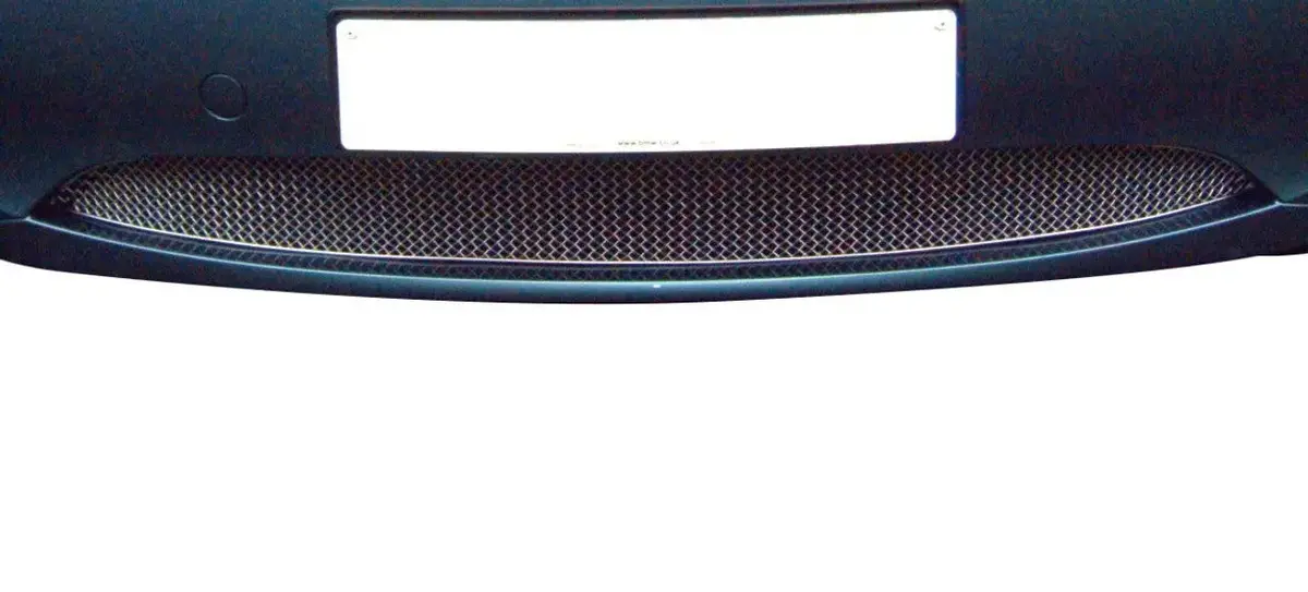 Zunsport Bmw Z4 E85 / E86 Lower Grille 1