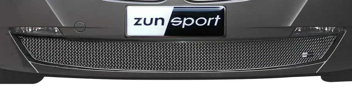 Zunsport Bmw Z4 (Lci) Lower Grille 1