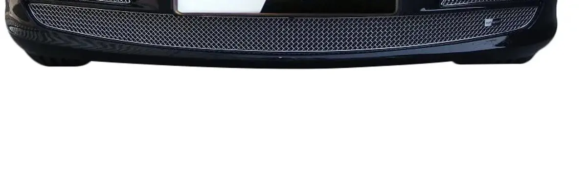 Zunsport Porsche 996 Facelift - Lower Grille 1