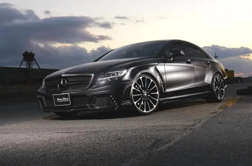 Wald W218 Cls Class Black Bison 1