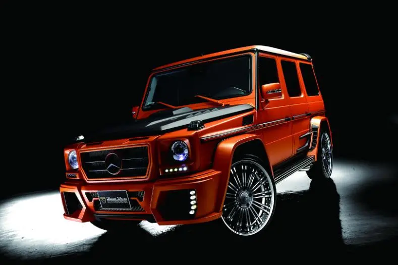 Wald W463 G Wagon Class Black Bison 1