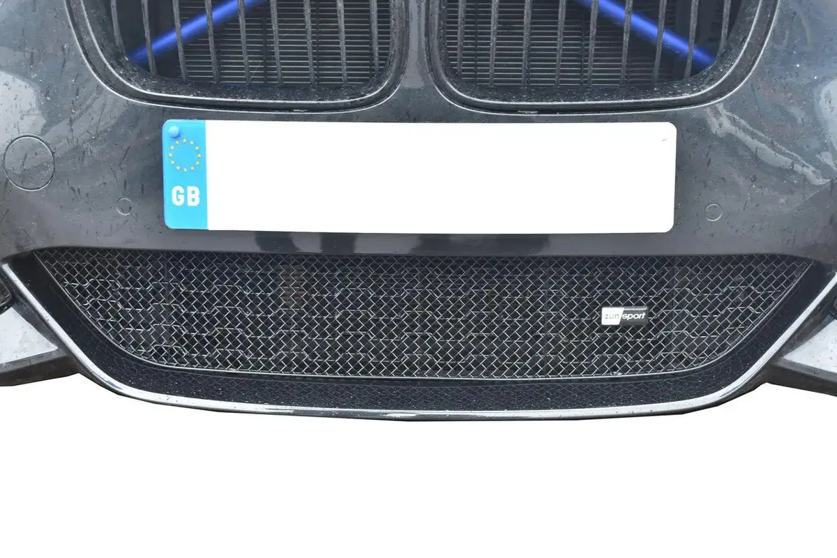 Zunsport Bmw M140i - Lower Grille 1