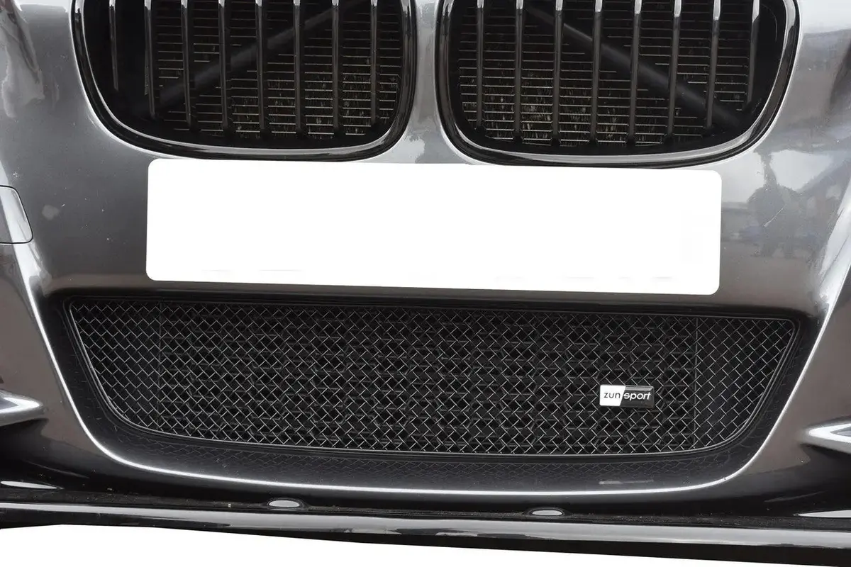 Zunsport Bmw M135i - Lower Grille 1