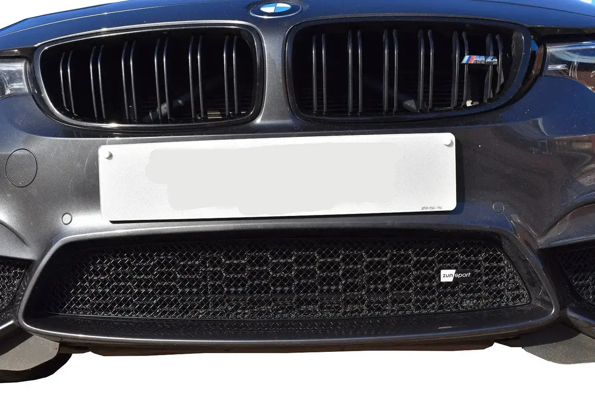 Zunsport Bmw M3 And M4 (F80, F82, F83) - Centre Grille 1