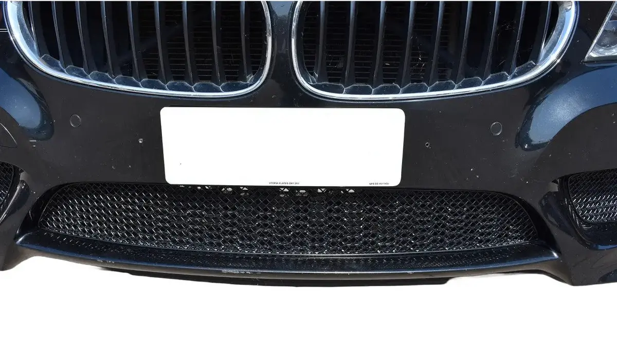 Zunsport Bmw Z4 E89 Sdrive20i M Sport - Lower Grille 1
