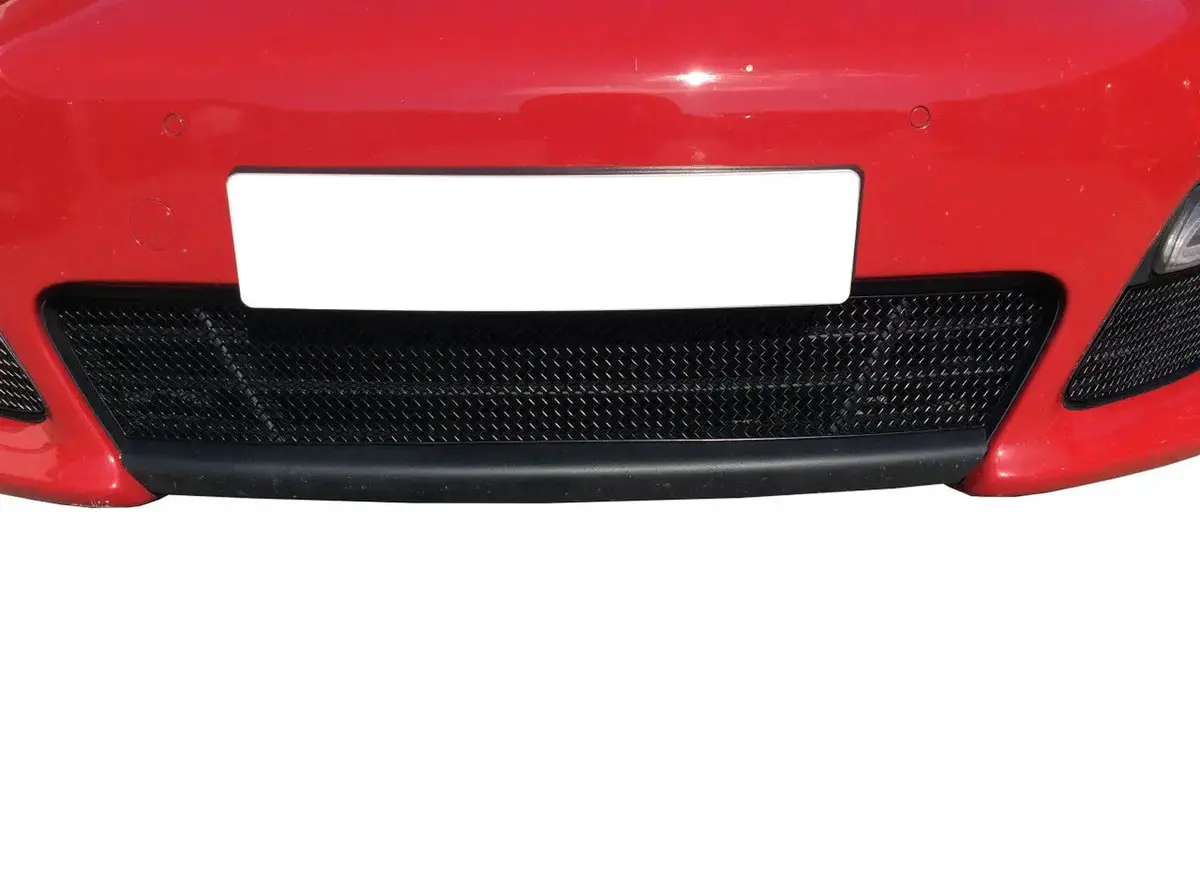 Zunsport Porsche Panamera Gts - Centre Grille 1