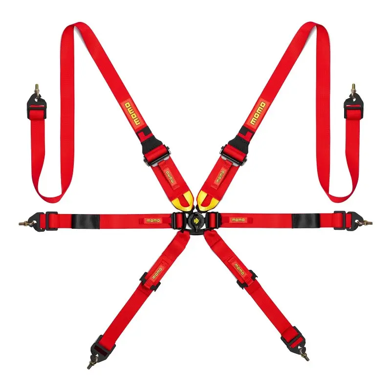 6-Point Camlock Restraint 1