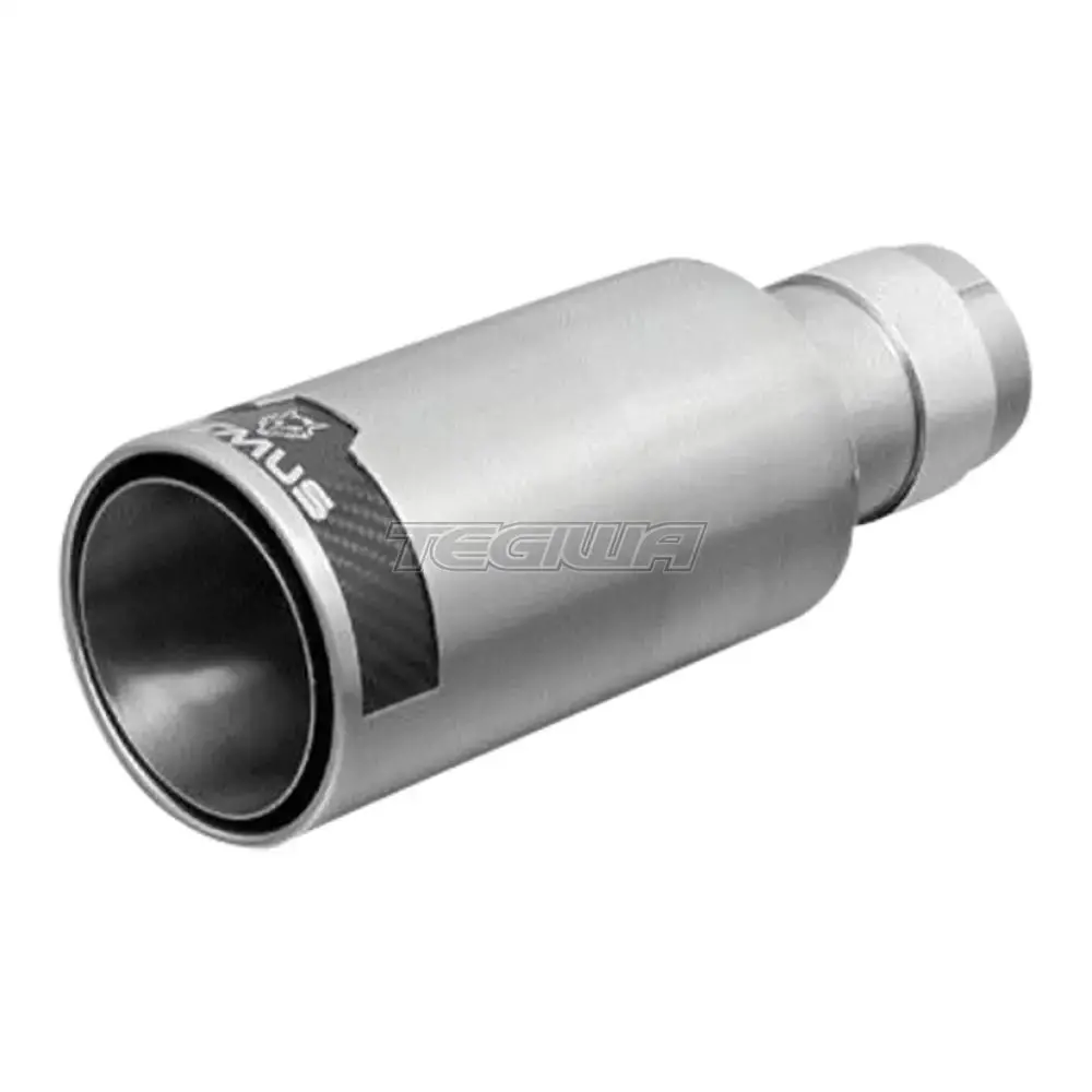 Remus Rear Silencer Left Audi A3 8P 2.0 Fsi/2.0 Tdi 03-12 11
