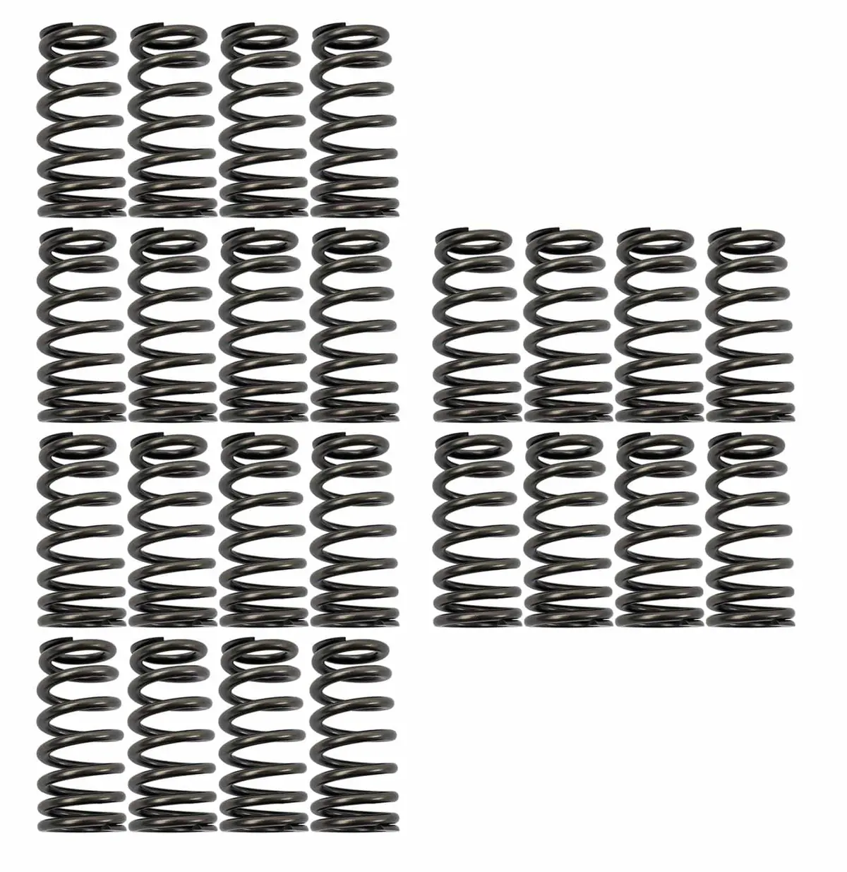 Comp Cams 26113-24 Valve Springs – Dual Spring Set For Small-Block Chevy 1